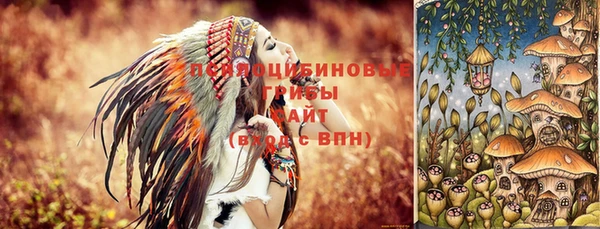 крисы Белокуриха