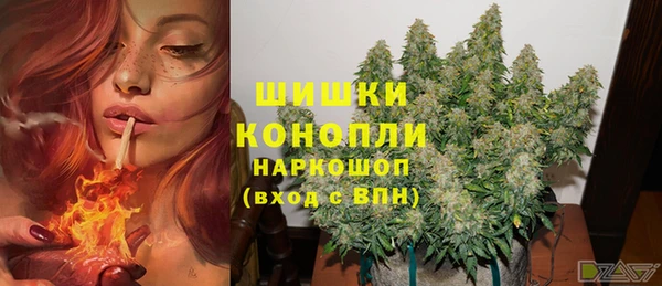 крисы Белокуриха