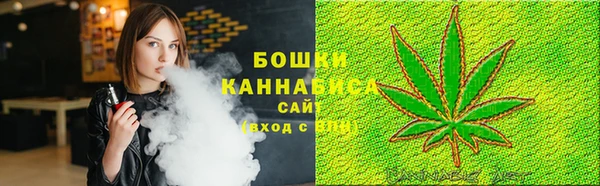 крисы Белокуриха