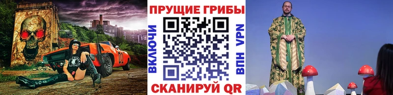 Псилоцибиновые грибы MAGIC MUSHROOMS  купить наркотики цена  Гусев 
