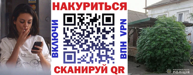 Бошки марихуана сатива  ОМГ ОМГ как зайти  Гусев 